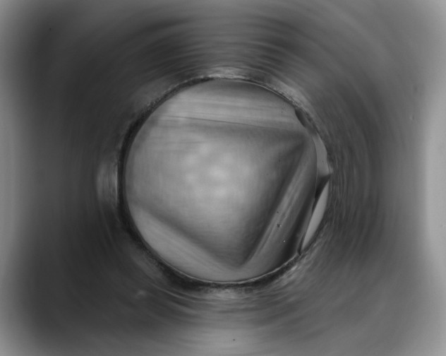 X0000088490349200706121553