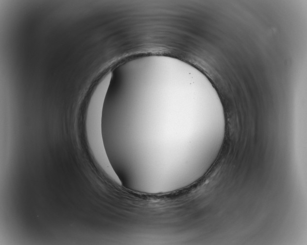 X0000088490350200706121553