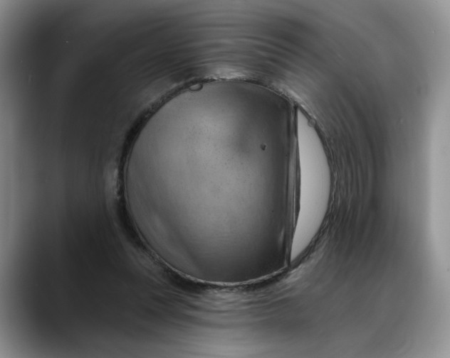 X0000088490351200706121553