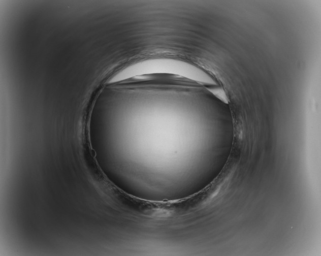 X0000088490352200706121553