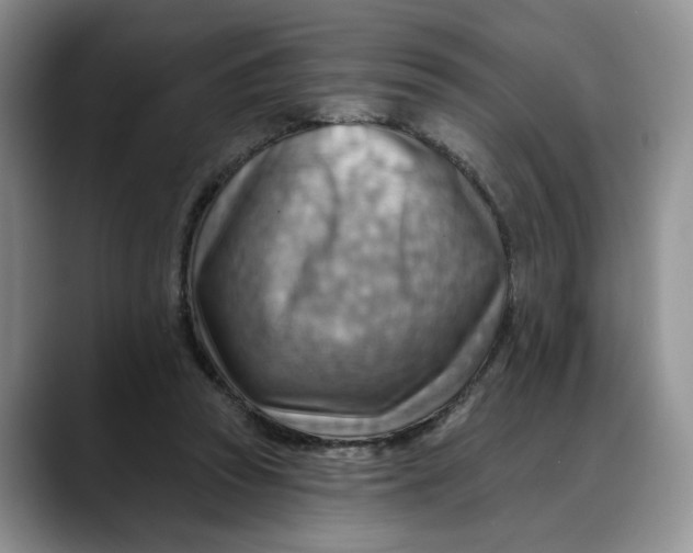 X0000088490353200706121553