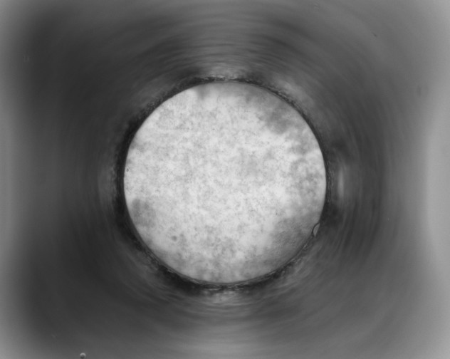 X0000088490354200706121553