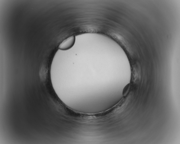 X0000088490355200706121553
