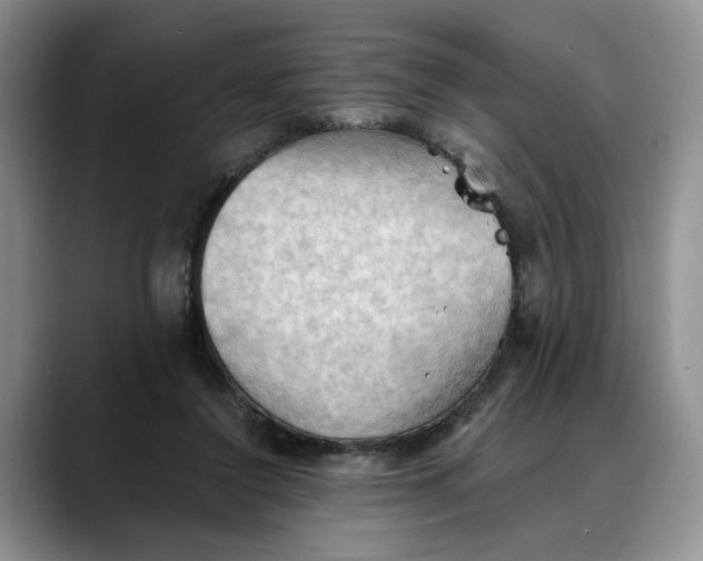 X0000088490356200706121553