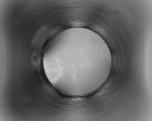 X0000088490357200706121553