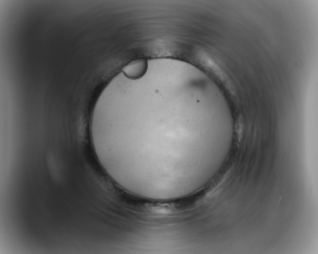 X0000088490359200706121553