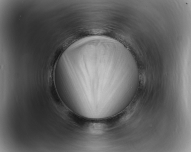 X0000088490360200706121553