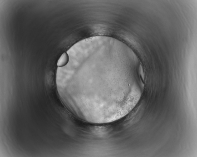 X0000088490361200706121553