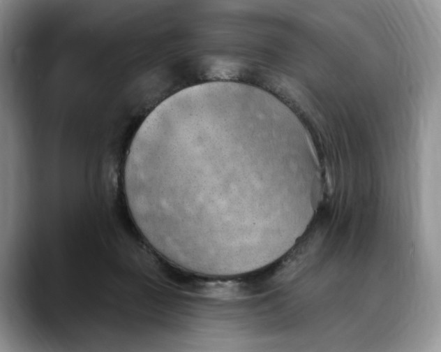 X0000088490363200706121553