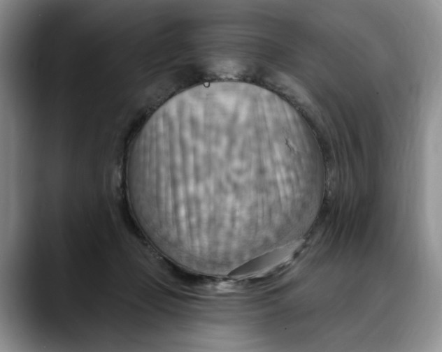 X0000088490365200706121553