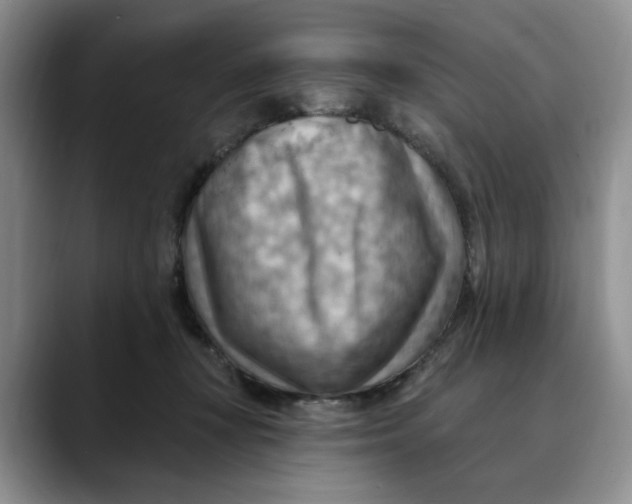 X0000088490367200706121553