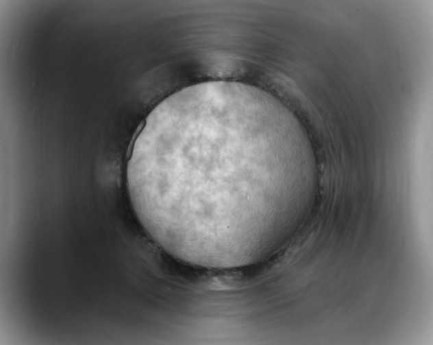 X0000088490368200706121553