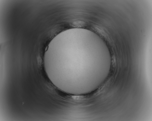 X0000088490371200706121553