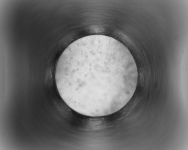 X0000088490373200706121553