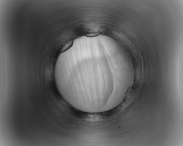 X0000088490376200706121553