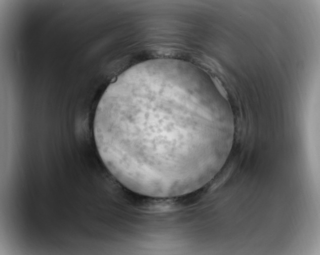 X0000088490377200706121553
