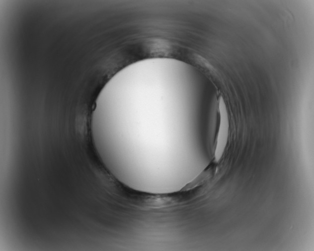 X0000088490379200706121553