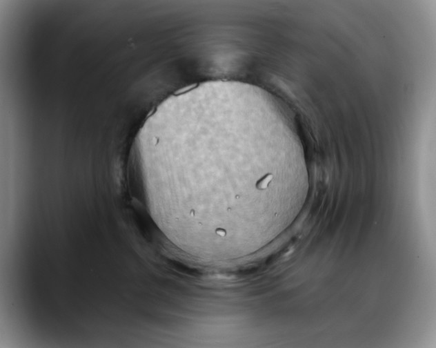 X0000088490380200706121553