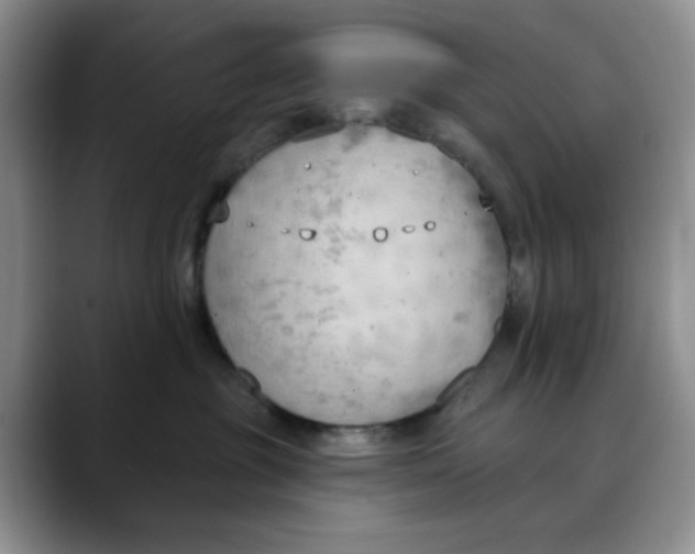 X0000088490381200706121553