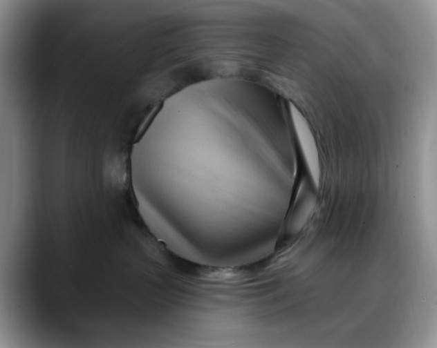 X0000088490383200706121553