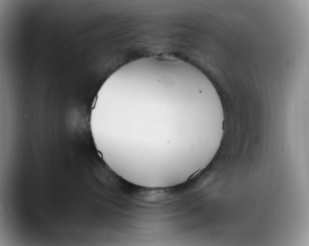 X0000088490384200706121553