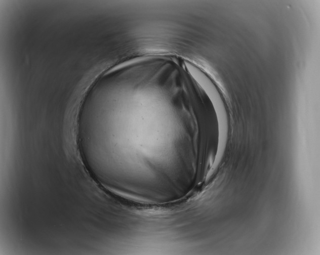 X0000088490385200706121553