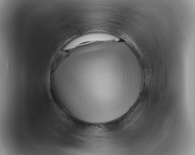 X0000088490386200706121553