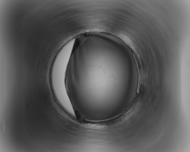 X0000088490389200706121553