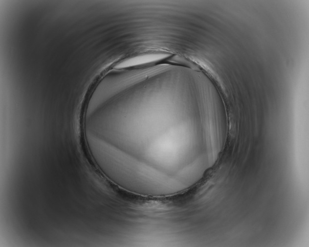 X0000088490390200706121553