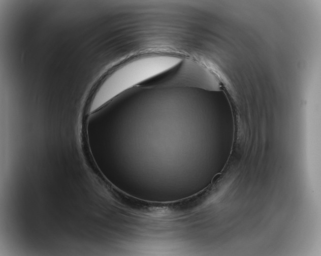 X0000088490391200706121553