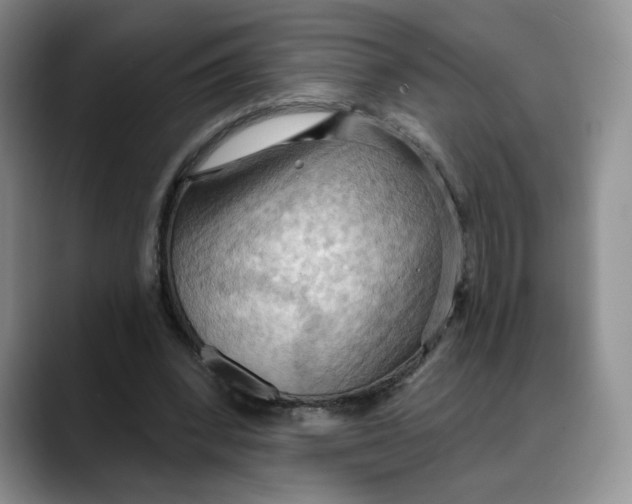 X0000088490392200706121553
