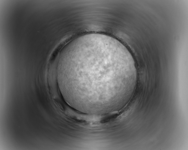 X0000088490395200706121553