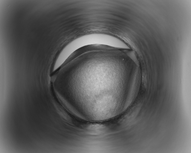 X0000088490397200706121553