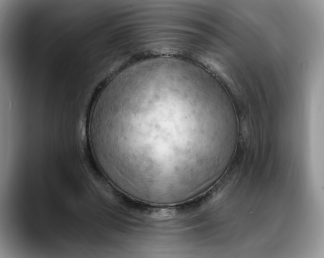 X0000088490398200706121553