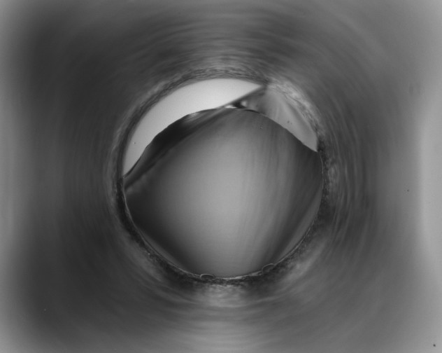 X0000088490399200706121553