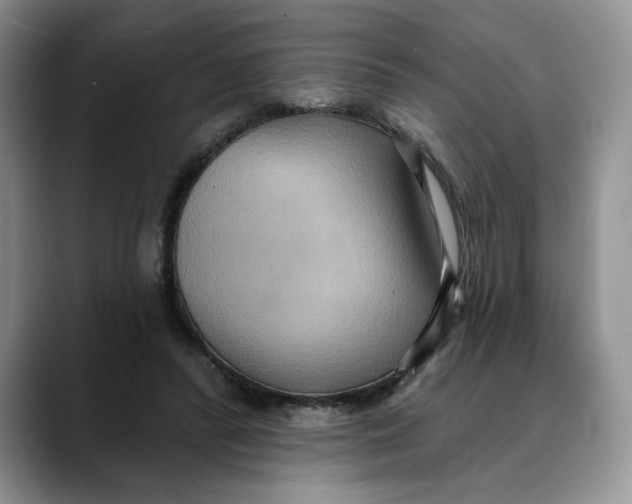 X0000088490400200706121553