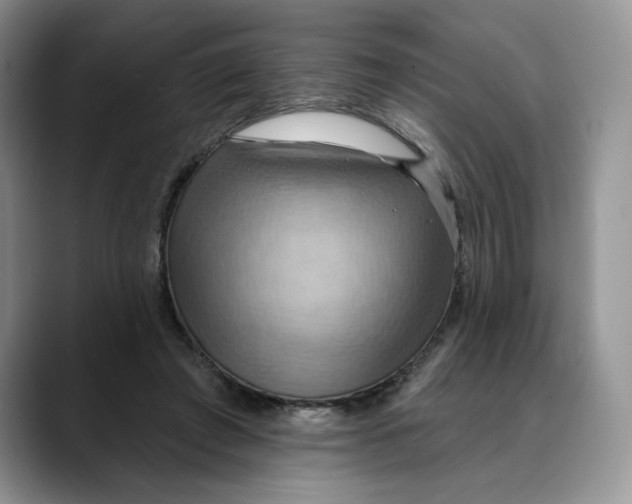 X0000088490401200706121553