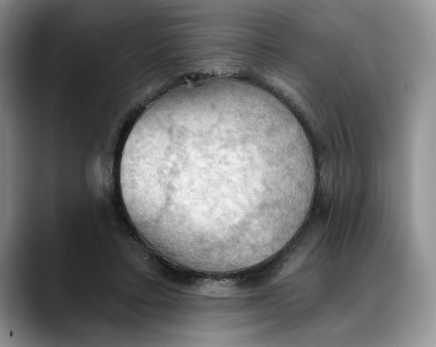 X0000088490403200706121552