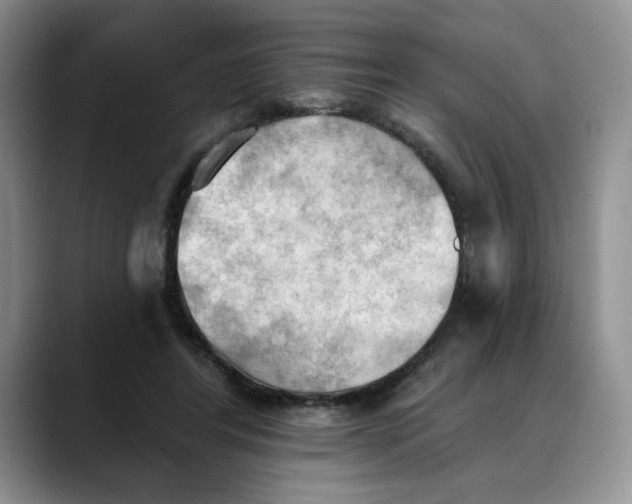 X0000088490404200706121552