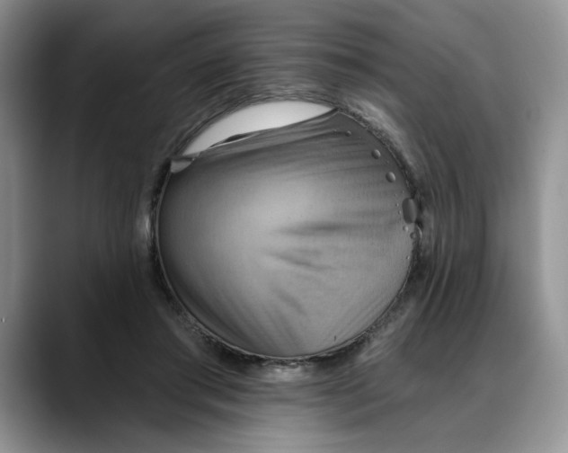 X0000088490405200706121552