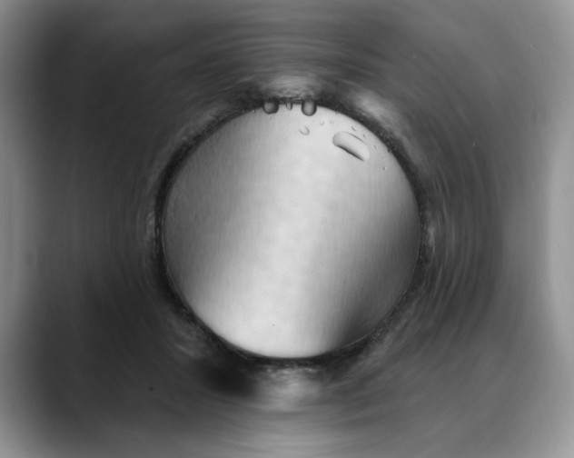 X0000088490407200706121552