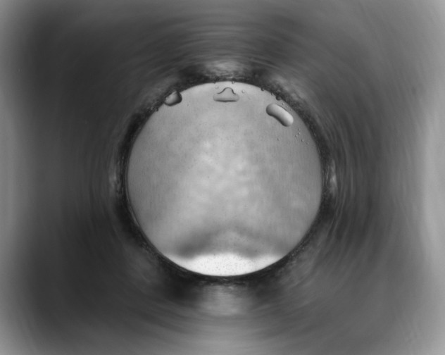 X0000088490408200706121552