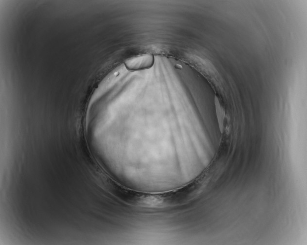 X0000088490409200706121552