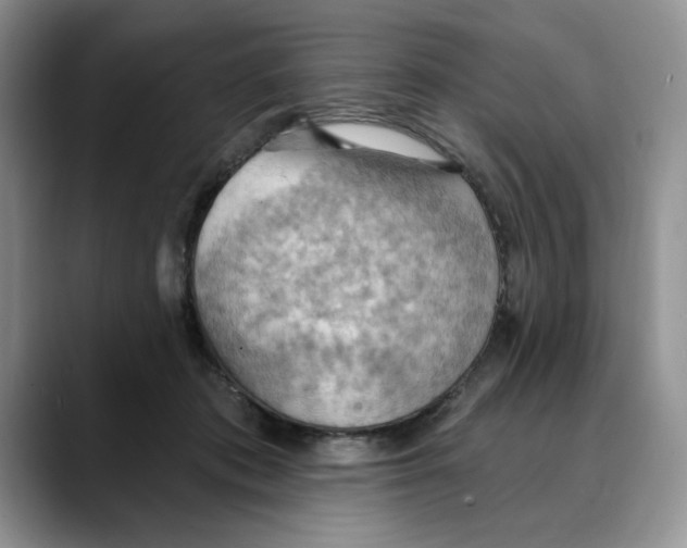 X0000088490413200706121552