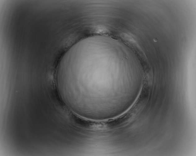 X0000088490415200706121552