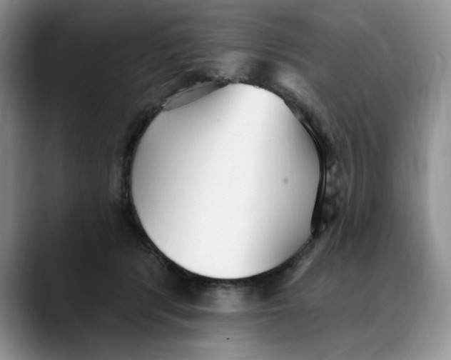 X0000088490416200706121552