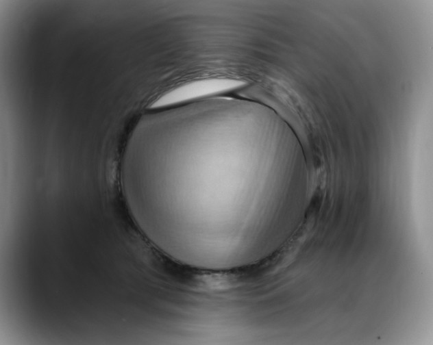 X0000088490417200706121552