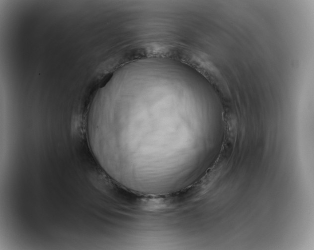 X0000088490419200706121552