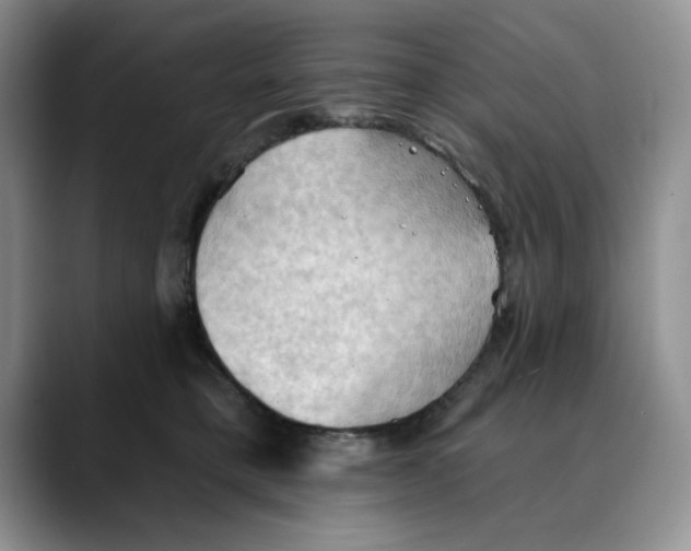 X0000088490421200706121552