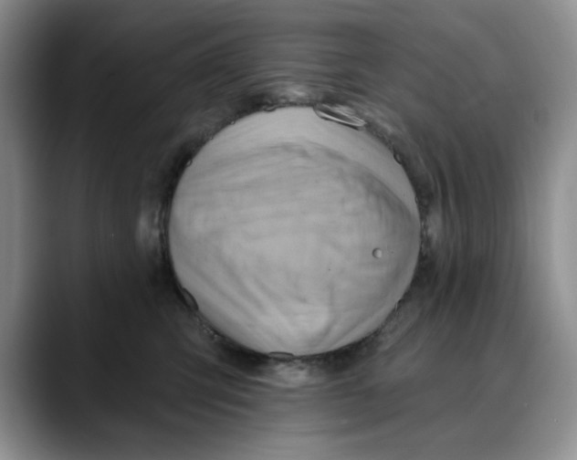 X0000088490423200706121552